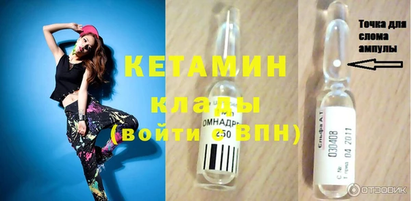 индика Алексин