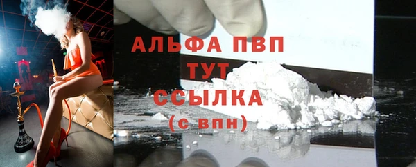 индика Алексин