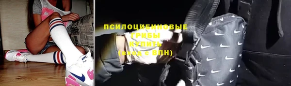 ECSTASY Алзамай