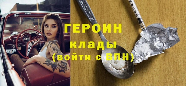 индика Алексин