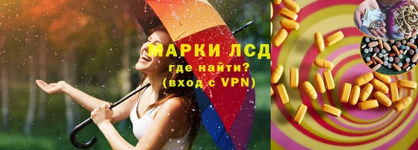 индика Алексин