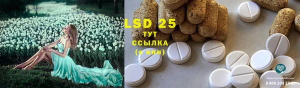 ECSTASY Алзамай