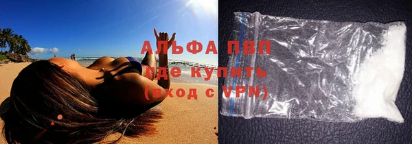 индика Алексин