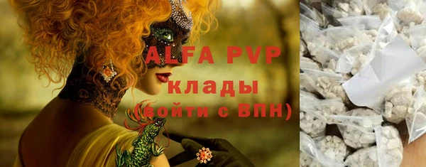 индика Алексин