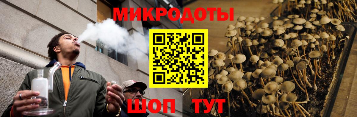 Псилоцибиновые грибы мухоморы  Вход с VPN  Галлюциногенные грибы прущие грибы  купить  цена  Михайловск 